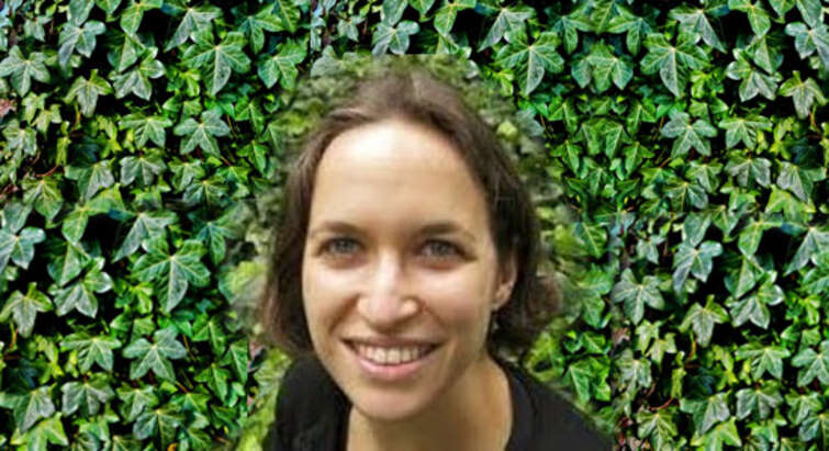 Amy C. Offner